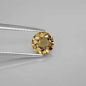 0.92 ct Multicolor Color-Change Garnet Stone, Natural Color-Change Garnet in Round Facet Shape for Sale