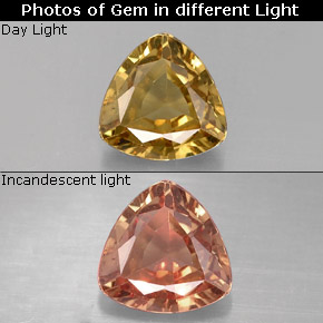 0.77 ct Multicolor Color-Change Garnet Gemstone, Color-Change Garnet Gem in Trillion Facet Shape for Sale.