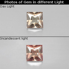 Marrón claro Granate con Cambio de Color Gema - 0.5ct Corte Princesa (ID: 252121)