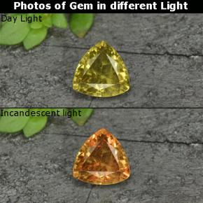 0.70 ct Yellow Color-Change Garnet Gemstone, Color-Change Garnet Gem in Trillion Facet Shape for Sale.