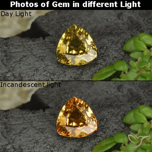0.61 ct Trillion Cut Color-Change Garnet, 5.3 x 5.3 mm From Madagascar, Photo A