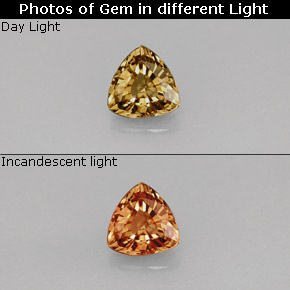 0.68 ct Multicolor Color-Change Garnet Gemstone, Color-Change Garnet Gem in Trillion Facet Shape for Sale.