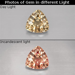 0.74 ct Multicolor Color-Change Garnet Gemstone, Color-Change Garnet Gem in Trillion Facet Shape for Sale.