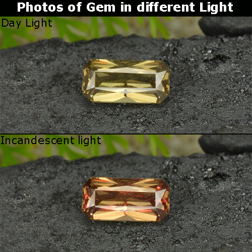 Amarillo dorado Granate con Cambio de Color Gema - 0.8ct Corte Octágon / Forma de Tijera (ID: 253178)