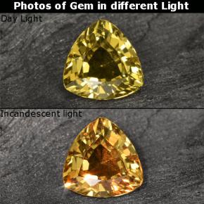 0.64 ct Golden Color-Change Garnet Gemstone, Color-Change Garnet Gem in Trillion Facet Shape for Sale.
