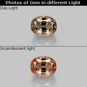 1.12 ct Multicolor Color-Change Garnet Gemstone, Color-Change Garnet Gem in Oval Facet Shape for Sale.