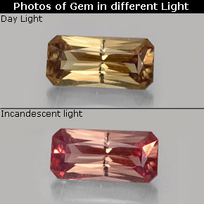 0.73 ct Multicolor Color-Change Garnet Gemstone, Color-Change Garnet Gem in Octagon / Scissor Cut Shape for Sale.