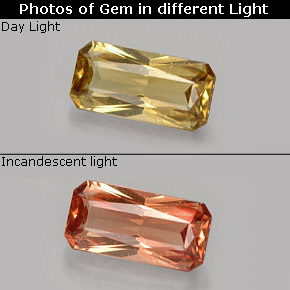 0.74 ct Multicolor Color-Change Garnet Gemstone, Color-Change Garnet Gem in Octagon / Scissor Cut Shape for Sale.