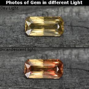 0.68 ct Golden Color-Change Garnet Gemstone, Color-Change Garnet Gem in Octagon / Scissor Cut Shape for Sale.