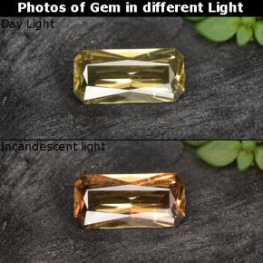 Golden-Brown Color-Change Garnet Gem - 0.6ct Octagon / Scissor Cut (ID: 262417)