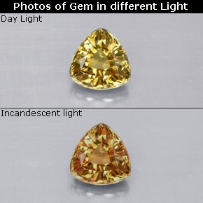 1.12 ct Multicolor Color-Change Garnet Gemstone, Color-Change Garnet Gem in Trillion Facet Shape for Sale.