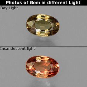0.56 ct Multicolor Color-Change Garnet Gemstone, Color-Change Garnet Gem in Oval Facet Shape for Sale.