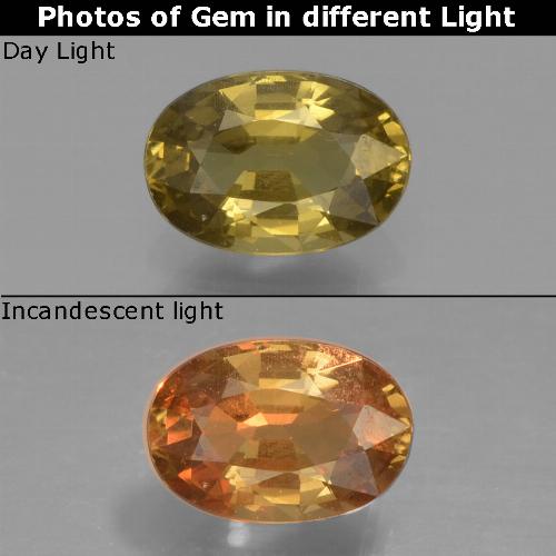 Deep Gold Гранат, Меняющий Цвет Камень - 0.7ct Фасетный Овал (ID: 327737)