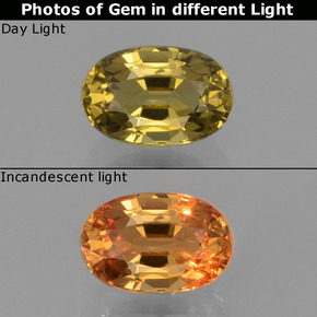 0.72 ct Multicolor Color-Change Garnet Gemstone, Color-Change Garnet Gem in Oval Facet Shape for Sale.