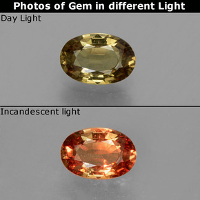 0.64 ct Multicolor Color-Change Garnet Gemstone, Color-Change Garnet Gem in Oval Facet Shape for Sale.
