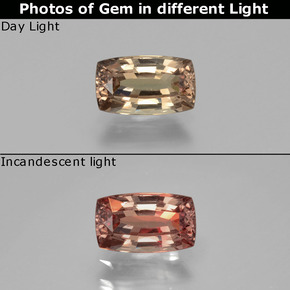 0.96 ct Multicolor Color-Change Garnet Gemstone, Color-Change Garnet Gem in Cushion-Cut Shape for Sale.
