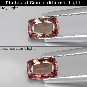 0.76 ct Brown Color-Change Garnet Gemstone, Color-Change Garnet Gem in Cushion-Cut Shape for Sale.