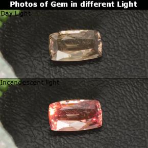 1.20 ct Multicolor Color-Change Garnet Gemstone, Color-Change Garnet Gem in Cushion-Cut Shape for Sale.