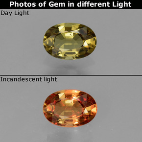 0.59 ct Color-Change Color-Change Garnet Gemstone, Color-Change Garnet Gem in Oval Facet Shape for Sale.