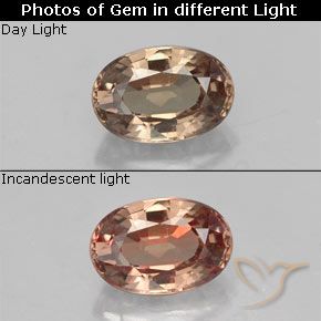 6.1 x 4.1mm Oval Facet Brown Color-change Garnet from Tanzania, Weight of 0.71ct, Natural untreated gemstone in VVS-VS Clarity, 1pc Color-change Garnet - the Color is Light Brown, Mohs Hardness of 6.5 - 7.5 suitable for daily wear jewelry, Photo A