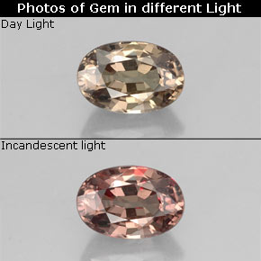 0.74 ct Color-Change Color-Change Garnet Gemstone, Color-Change Garnet Gem in Oval Facet Shape for Sale.