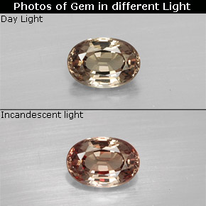 Светло-коричневый Гранат, Меняющий Цвет Камень - 0.6ct Фасетный Овал (ID: 327844)