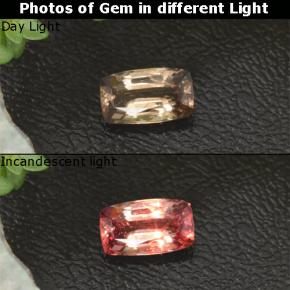1.14 ct Yellow Color-Change Garnet Gemstone, Color-Change Garnet Gem in Cushion-Cut Shape for Sale.