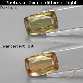 7.1 x 4.5mm Cushion Golden Color-change Garnet from Tanzania, Weight of 0.87ct, Natural untreated Gemstone in VS Clarity, 1pc Cushion-cut Color-change Garnet - Color: Golden-brown, Mohs Hardness of 6.5 - 7.5 suitable for daily wear jewelry, Photo A