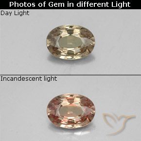 5.8 x 4.1mm Oval Facet Golden Color-change Garnet from Tanzania, Weight of 0.52ct, Natural untreated gemstone in VS-SI Clarity, 1pc Color-change Garnet - the Color is Golden-brown, Mohs Hardness of 6.5 - 7.5 suitable for daily wear jewelry, Photo A