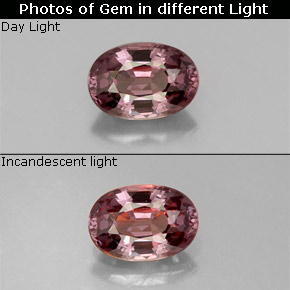 0.62 ct Multicolor Color-Change Garnet Gemstone, Color-Change Garnet Gem in Oval Facet Shape for Sale.