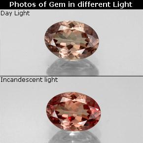 Medium Brown Color-Change Garnet Gem - 1.1ct Oval Facet (ID: 344554)
