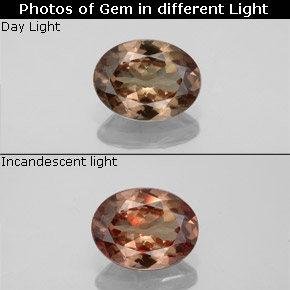 Light Brown Color-Change Garnet Gem - 1.4ct Oval Facet (ID: 344889)