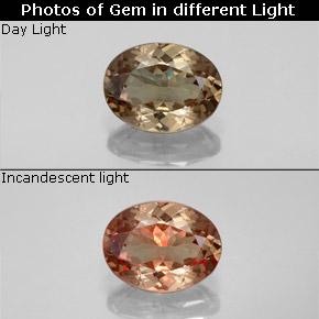 Marrón claro Granate con Cambio de Color Gema - 1.5ct Forma ovalada (ID: 344891)