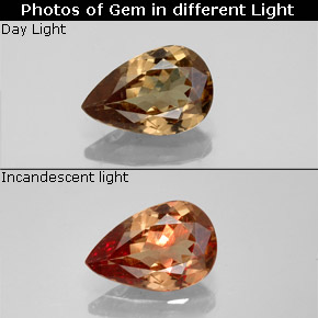 Light Brown Color-Change Garnet Gem - 1.4ct Pear Facet (ID: 344893)