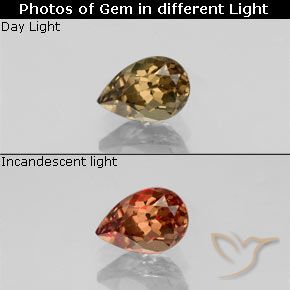 0.61ct Natural Golden-Brown Color-Change Garnet, Pear Shape, VVS-VS