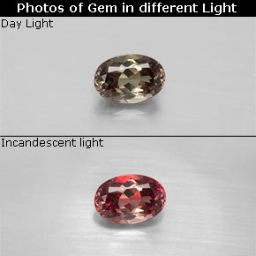 0.60 ct Multicolor Color-Change Garnet Gemstone, Color-Change Garnet Gem in Oval Facet Shape for Sale.