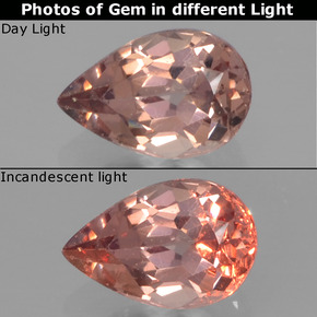 Marrón claro medio Granate con Cambio de Color Gema - 0.5ct Corte en forma de pera (ID: 346320)