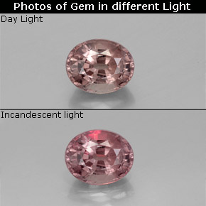 1.16 ct Color-Change Color-Change Garnet Gemstone, Color-Change Garnet Gem in Oval Facet Shape for Sale.