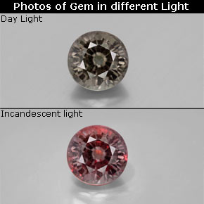 1.18 ct Multicolor Color-Change Garnet Gemstone, Color-Change Garnet Gem in Round Facet Shape for Sale.