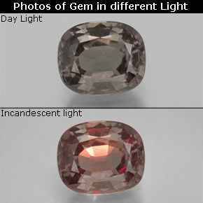 1.50 ct Color-Change Color-Change Garnet Gemstone, Color-Change Garnet Gem in Cushion-Cut Shape for Sale.