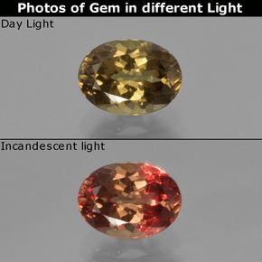 1.18 ct Multicolor Color-Change Garnet Gemstone, Color-Change Garnet Gem in Oval Facet Shape for Sale.