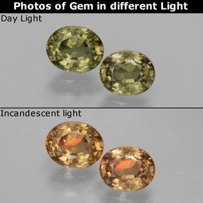 1.41 ctw Multicolor Color-Change Garnet Gemstones, Color-Change Garnet Gems in Oval Facet Shape for Sale.