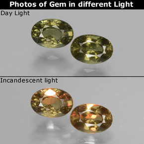 Золотисто-желтый Гранат, Меняющий Цвет Камень - 0.7ct Фасетный Овал (ID: 428858)