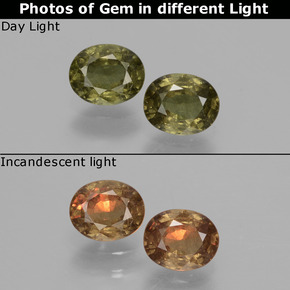 Золотисто-желтый Гранат, Меняющий Цвет Камень - 0.5ct Фасетный Овал (ID: 428859)