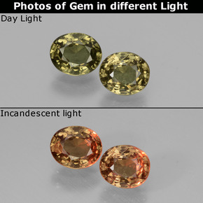 1.06 ctw Multicolor Color-Change Garnet Gemstones, Color-Change Garnet Gems in Oval Facet Shape for Sale.