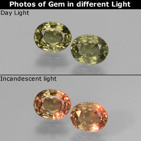 0.96 ct Color-Change Color-Change Garnet Gemstone, Color-Change Garnet Gem in Oval Facet Shape for Sale.