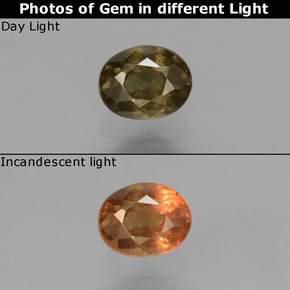 0.57 ct Yellow Color-Change Garnet Gemstone, Color-Change Garnet Gem in Oval Facet Shape for Sale.