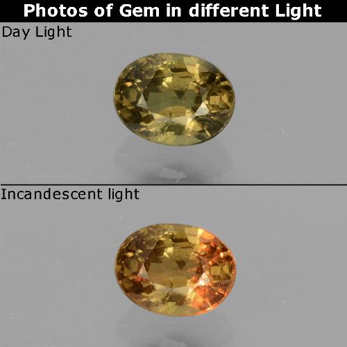 5.6 x 4.3mm Oval Facet Yellow Color-change Garnet from Tanzania, Weight of 0.67ct, Natural untreated Gemstone in VS Clarity, 1pc Color-change Garnet - Color: Golden Yellow, Mohs Hardness of 6.5 - 7.5 suitable for daily wear jewelry, Photo A