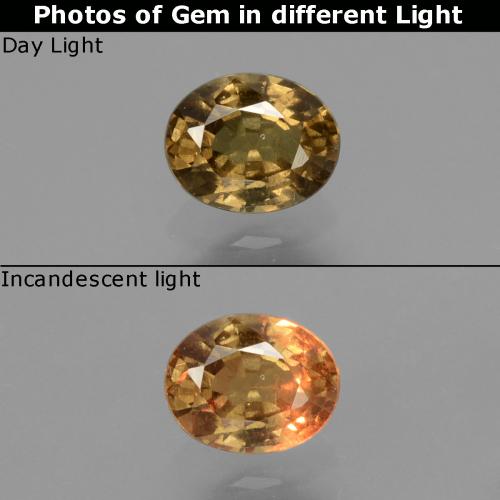 Amarillo dorado Granate con Cambio de Color Gema - 0.7ct Forma ovalada (ID: 429006)
