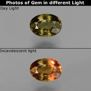 0.61 ct Multicolor Color-Change Garnet Gemstone, Color-Change Garnet Gem in Oval Facet Shape for Sale.
